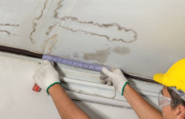 Reliable Sewage Cleanup contractor in Lawrenceville, VA by Water Damage Irwin